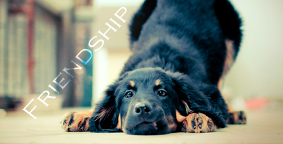 На сервере Rp Game World: Подпись для меня :)