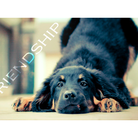 На сервере Rp Game World: Подпись для меня :)